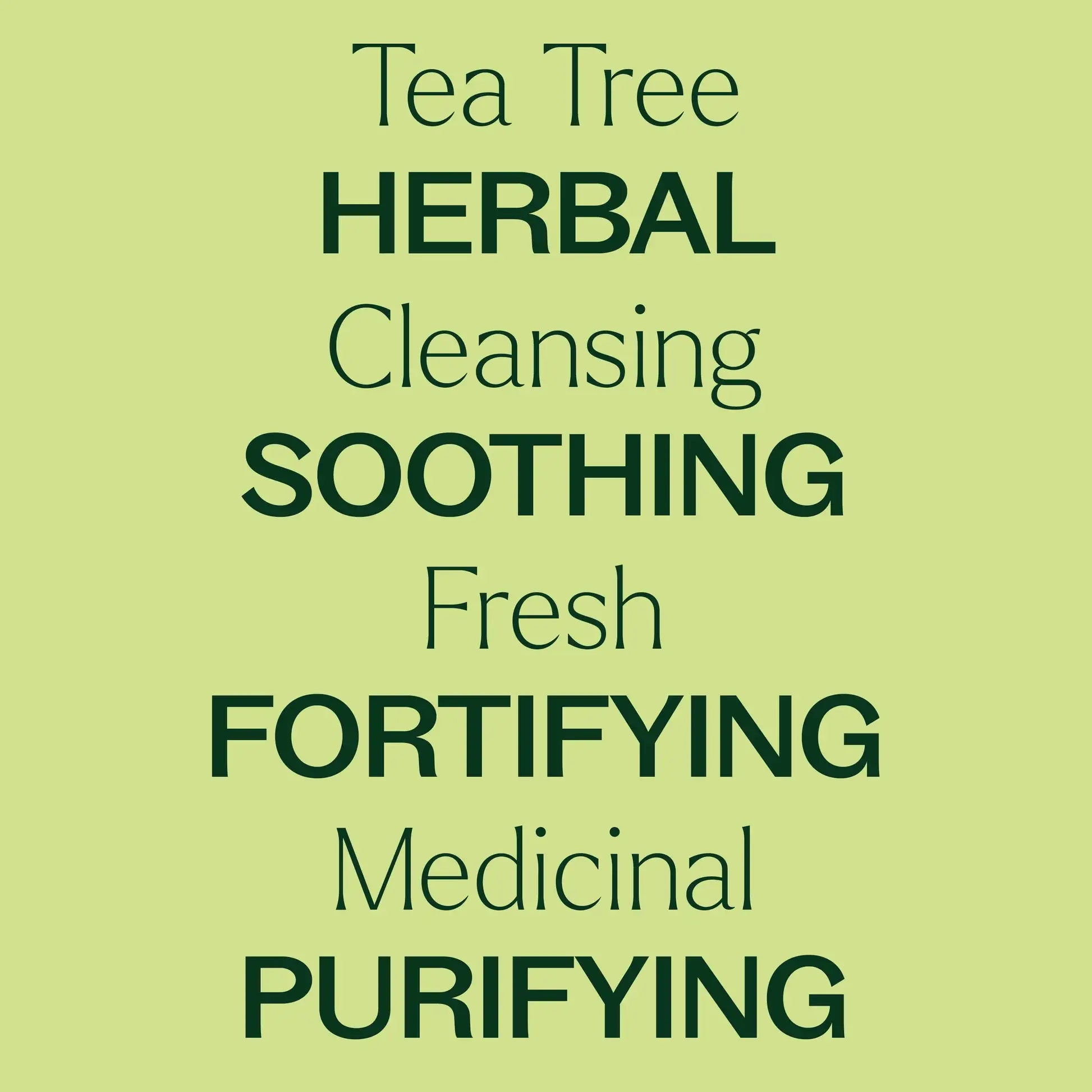 Organic Tea Tree Essential Oil 10 mL by Plant Therapy