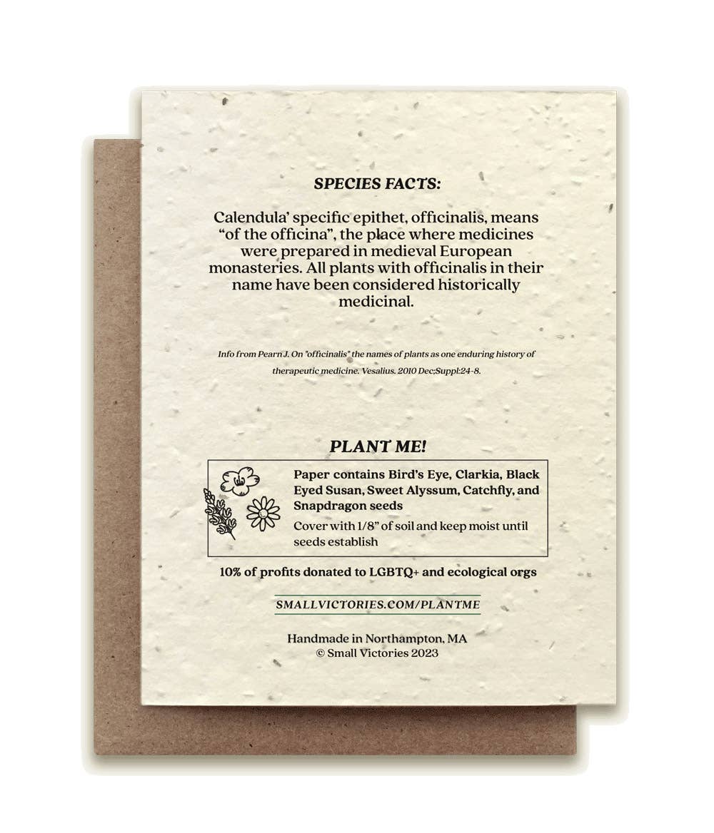 Calendula Plantable Wildflower Seed Card by Small Victories