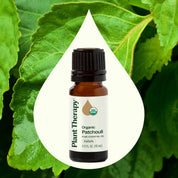 Organic Patchouli Essential Oil 10 mL by Plant Therapy