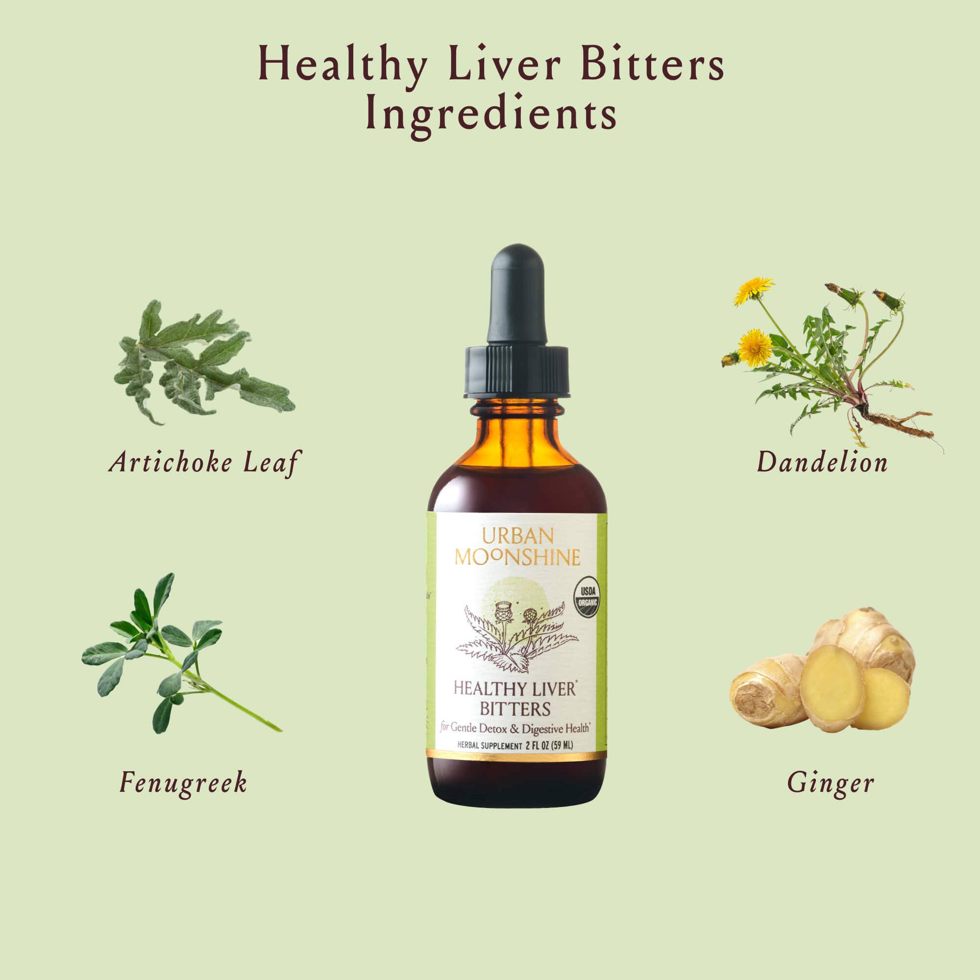Healthy Liver Digestive Bitters - Liver Support - Detox by Urban Moonshine