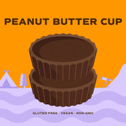 Peanut Butter Cup Protein Balls - 12 g protein by Day Out