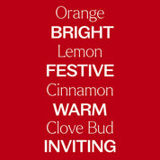 Holiday Season Essential Oil Blend 10 mL by Plant Therapy