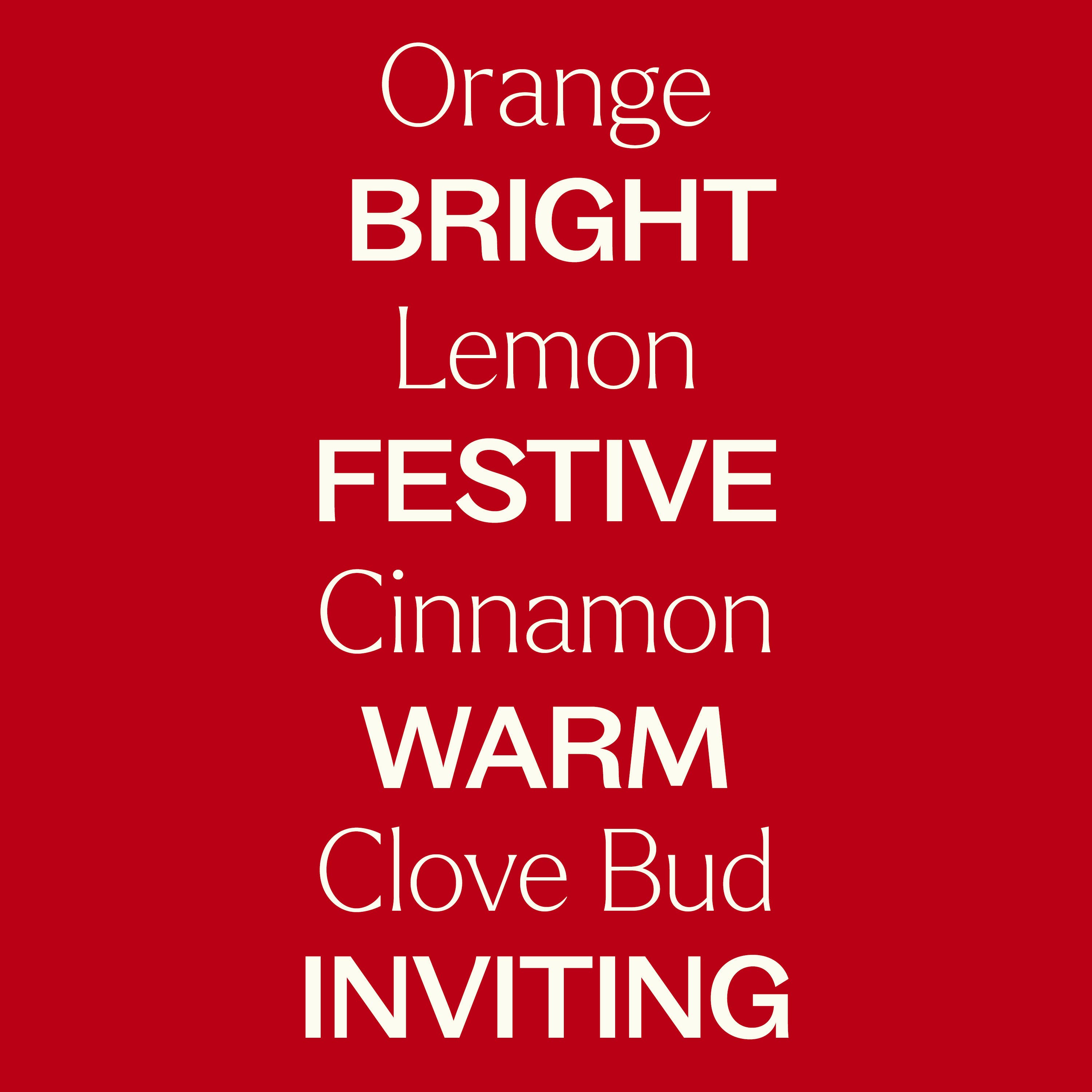 Holiday Season Essential Oil Blend 10 mL by Plant Therapy
