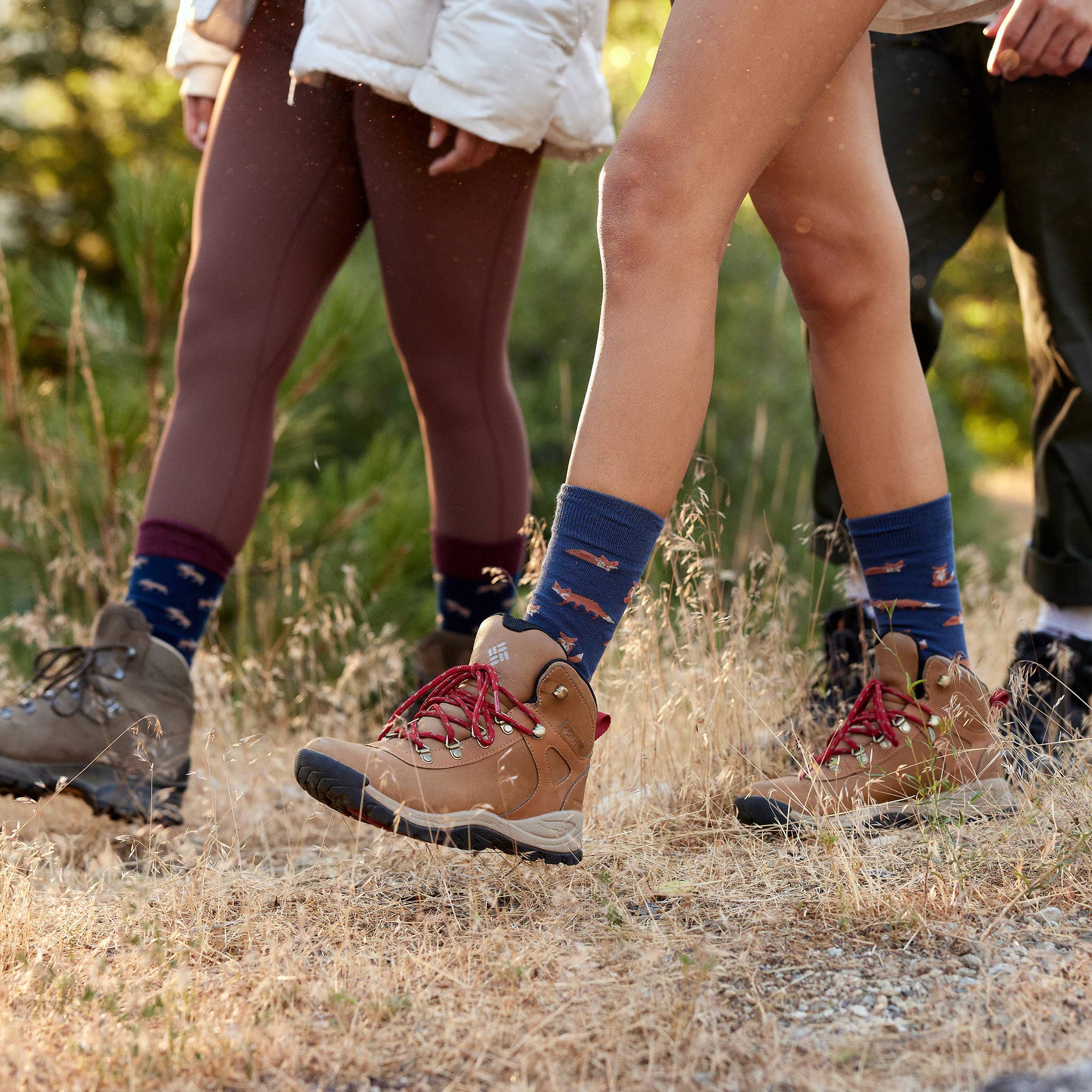 Boxed Set - Socks that Protect National Parks by Conscious Step
