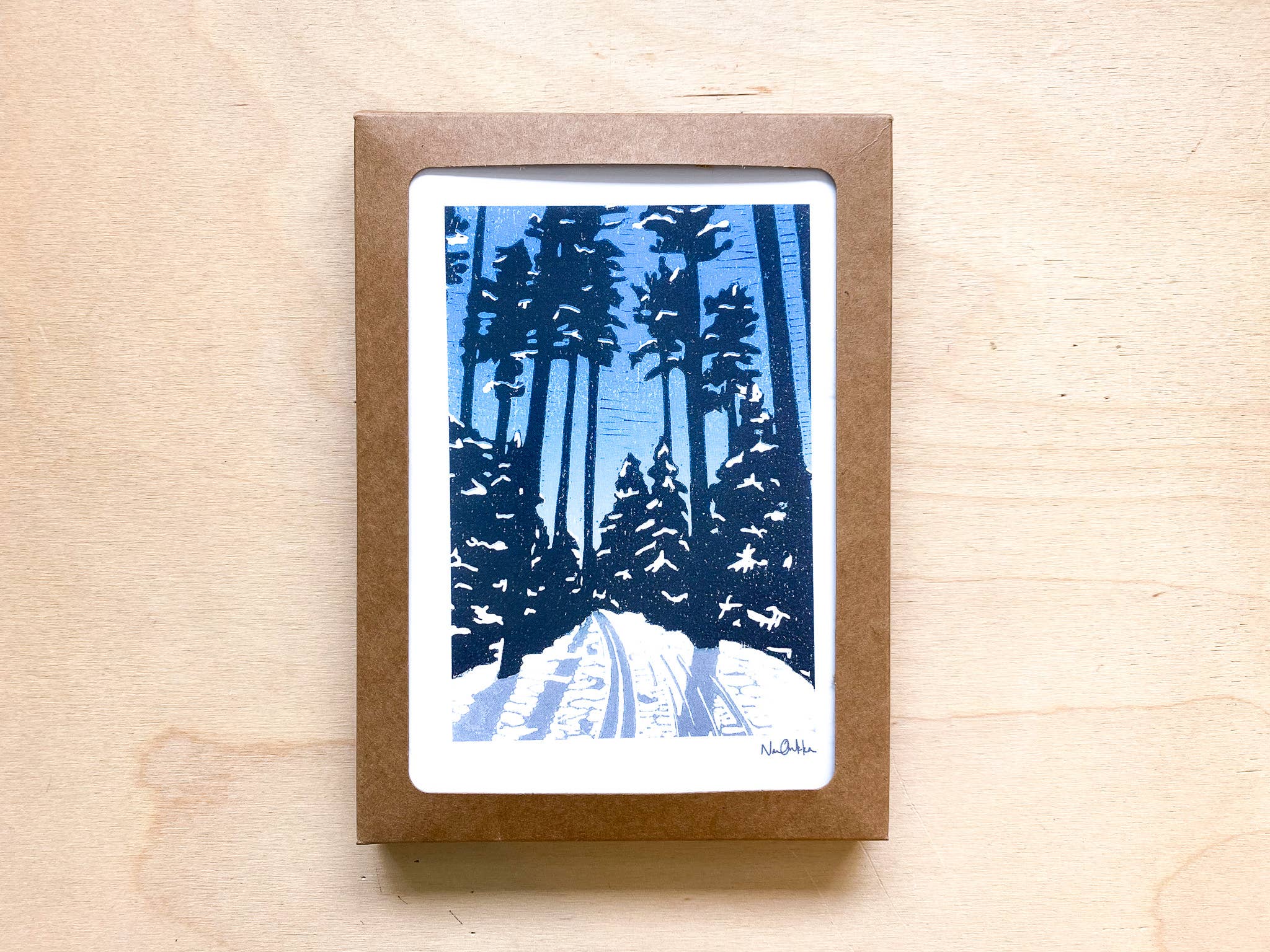 Winter Themed Boxed Set of Greeting Cards by Nan Onkka Prints