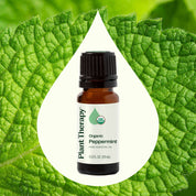 Organic Peppermint Essential Oil 10 mL by Plant Therapy