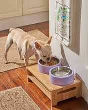 Dog Bowl by Wild One