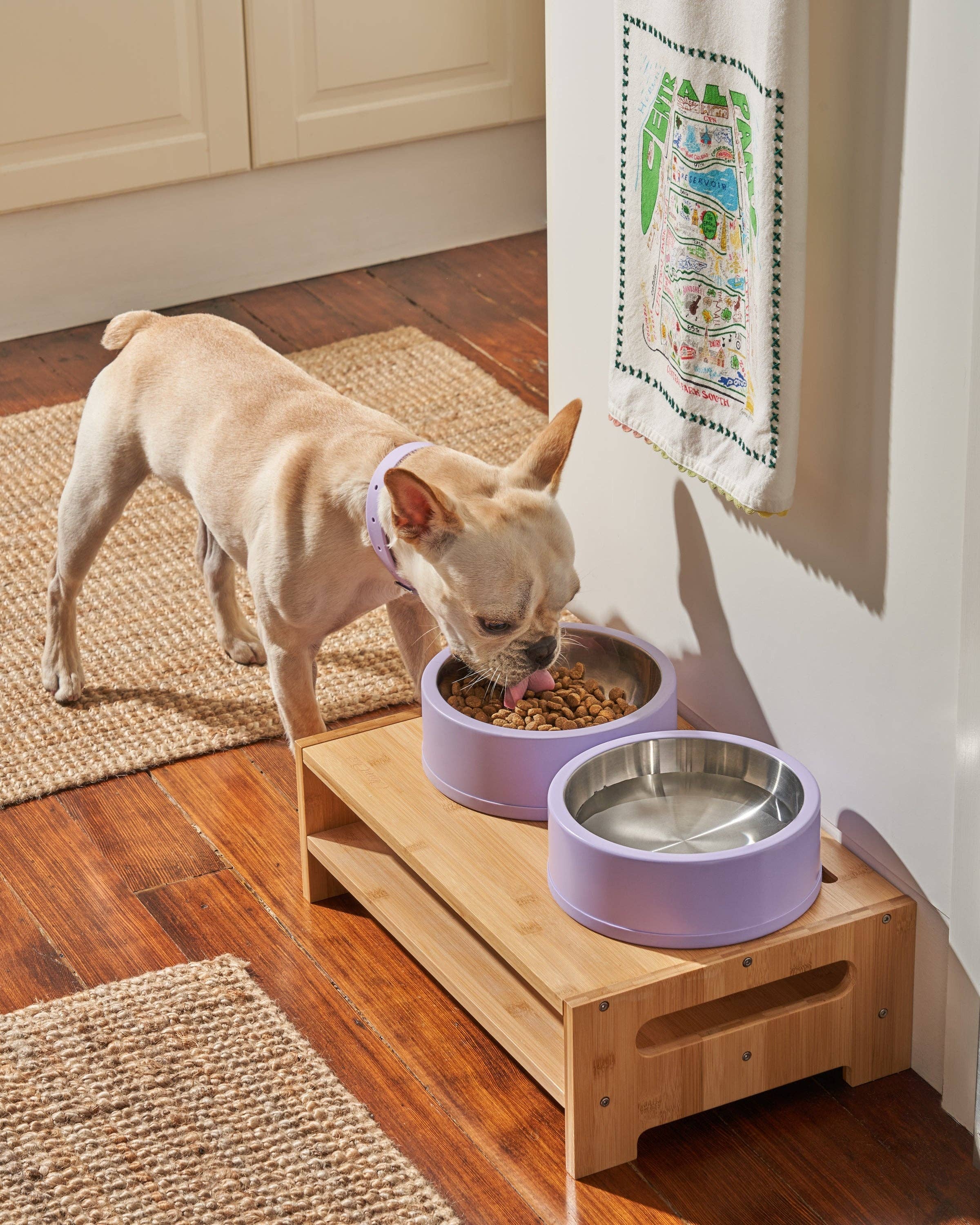 Dog Bowl by Wild One