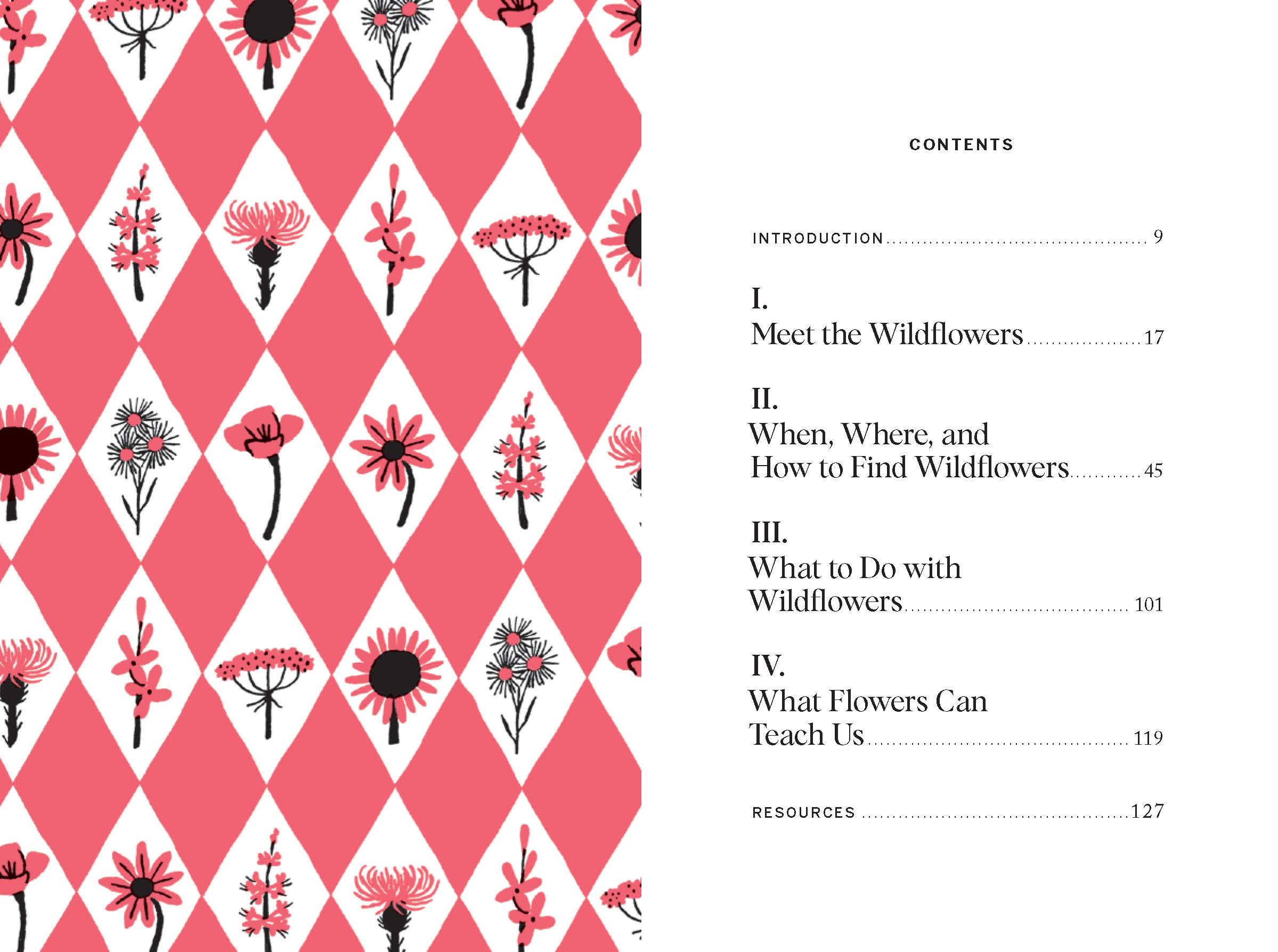 Pocket Nature: Flower Finding Book