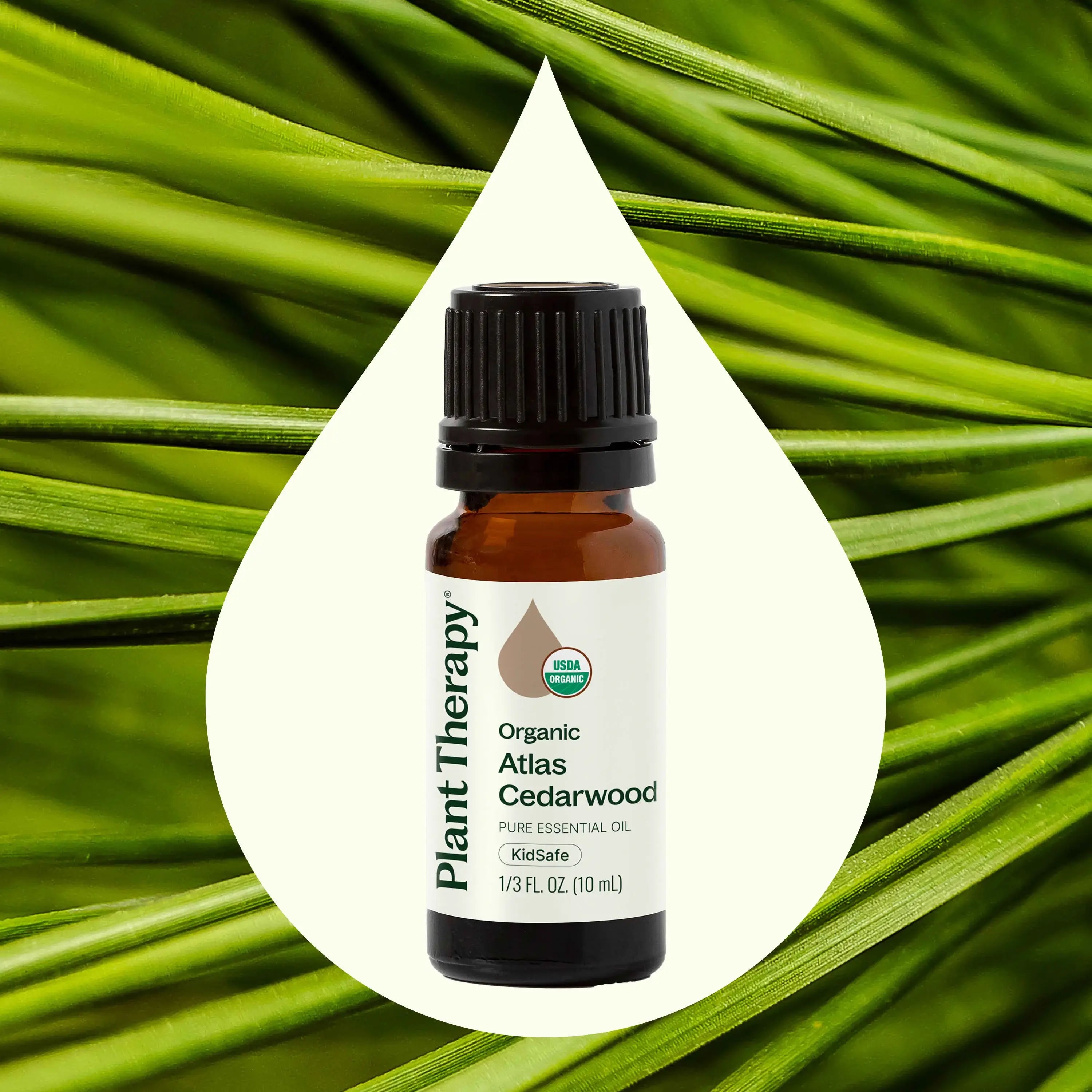 Organic Atlas Cedarwood Essential Oil 10 mL by Plant Therapy