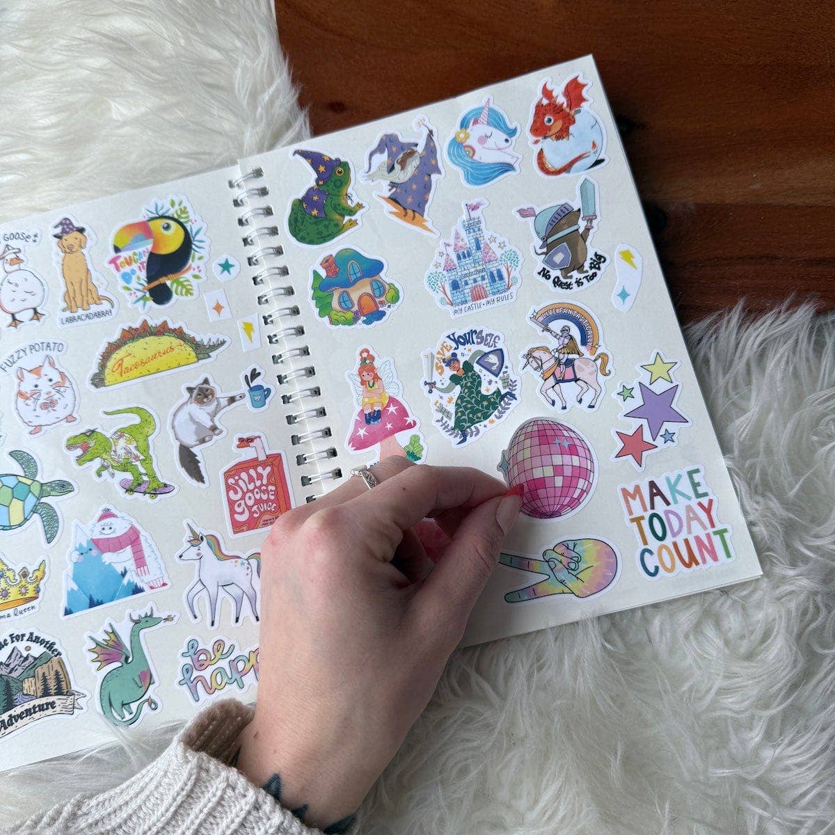 The Unused Sticker Book by Big Moods