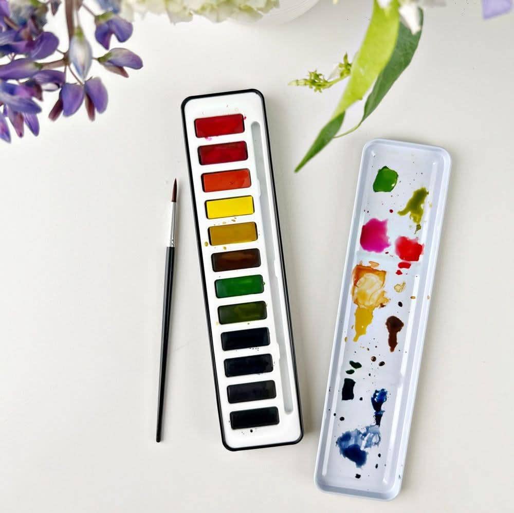 Watercolor Paint Set - 12 colors - by emily lex studio