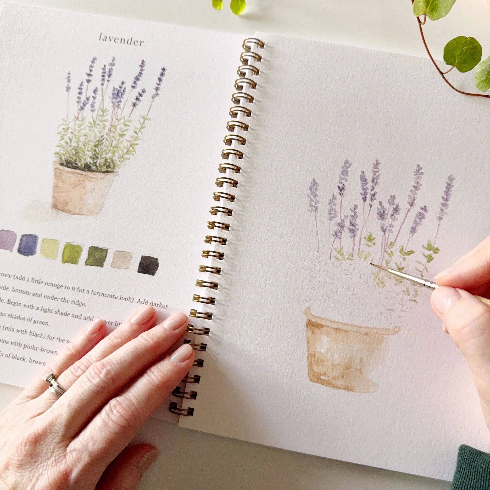 Garden Watercolor Workbook by emily lex studio