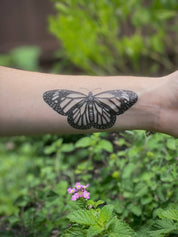 Monarch Butterfly Temporary Tattoo by NatureTats