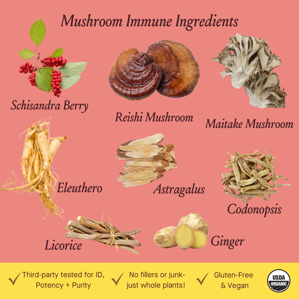 Mushroom Immune Herbal Tonic - Daily Support with Reishi by Urban Moonshine
