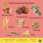 Mushroom Immune Herbal Tonic - Daily Support with Reishi by Urban Moonshine