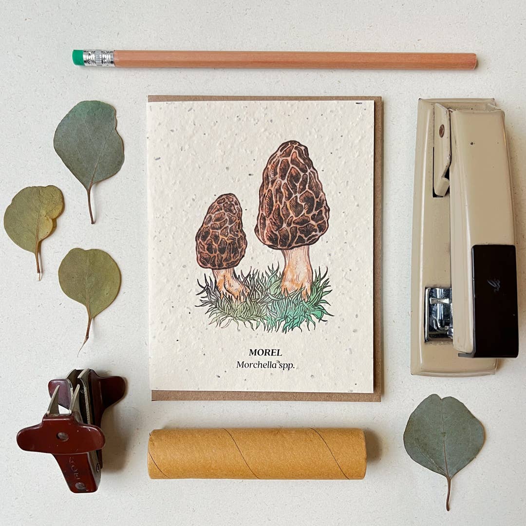 Morel Mushroom Plantable Wildflower Seed Card by Small Victories