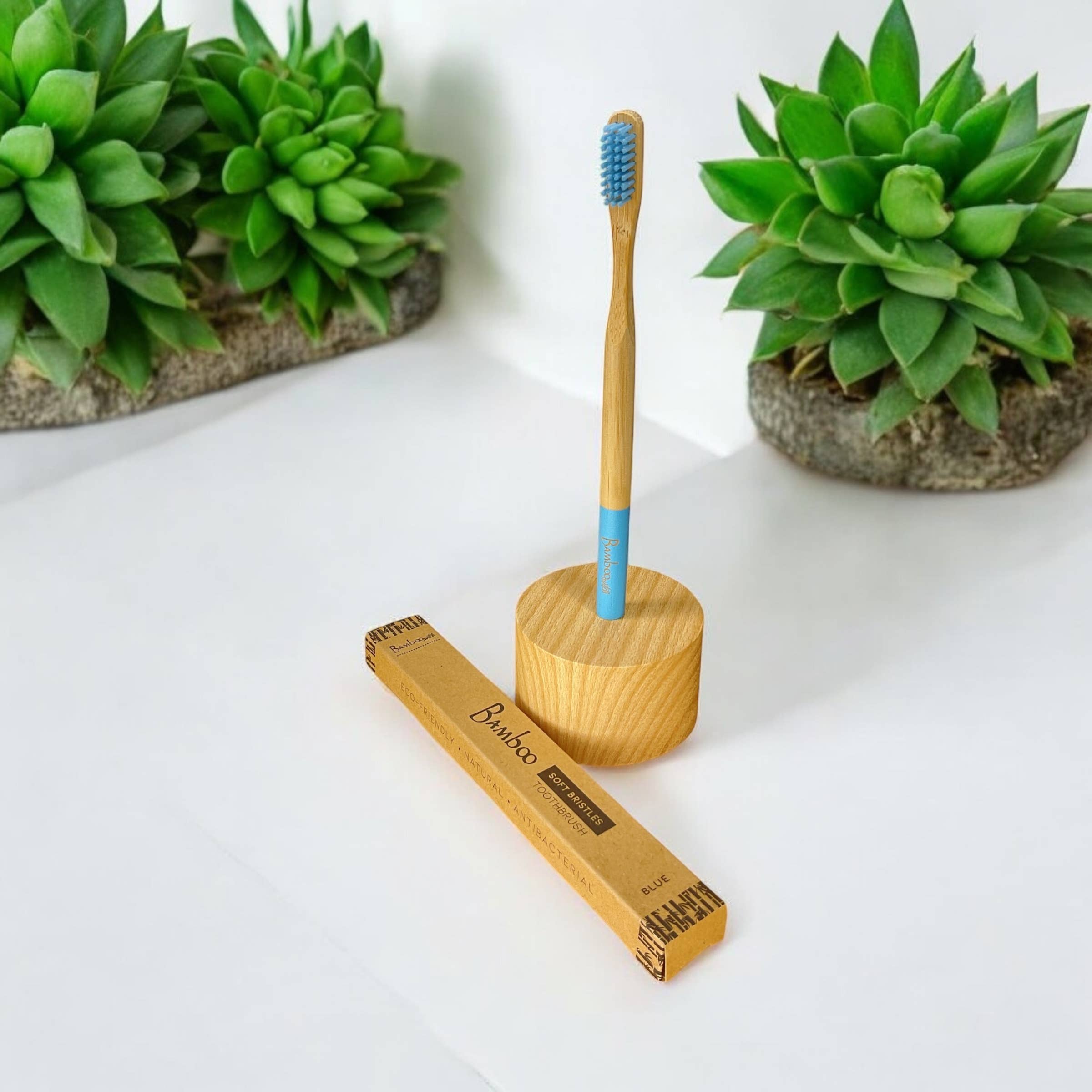 Adult Bamboo Toothbrush by Bamboo Switch