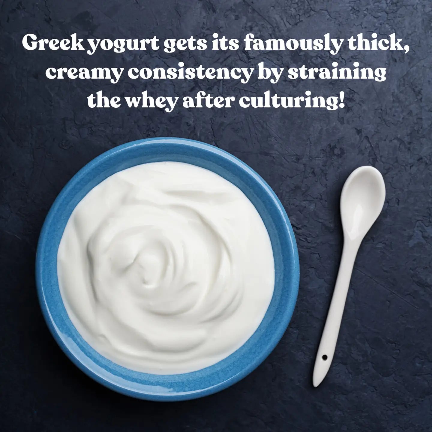 Greek Yogurt Starter Culture by Cultures for Health