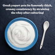 Greek Yogurt Starter Culture by Cultures for Health