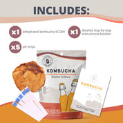 Kombucha Starter Culture by Cultures for Health