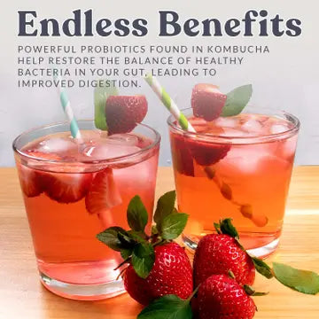 Kombucha Starter Culture by Cultures for Health