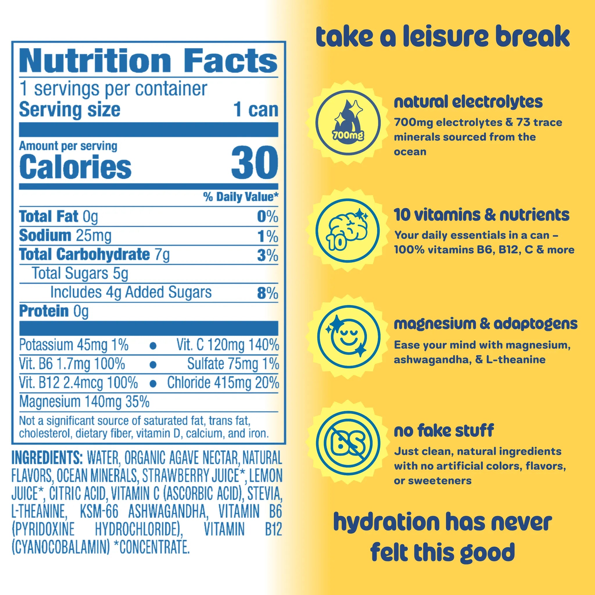 Lemonade Electrolyte Refresher by Leisure Hydration
