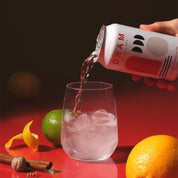 Adaptogenic Mushroom Cola Herbal Sparkling Water by DRAM