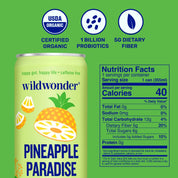 Pineapple Paradise Sparkling Prebiotic + Probiotic Drink by wildwonder