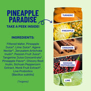 Pineapple Paradise Sparkling Prebiotic + Probiotic Drink by wildwonder